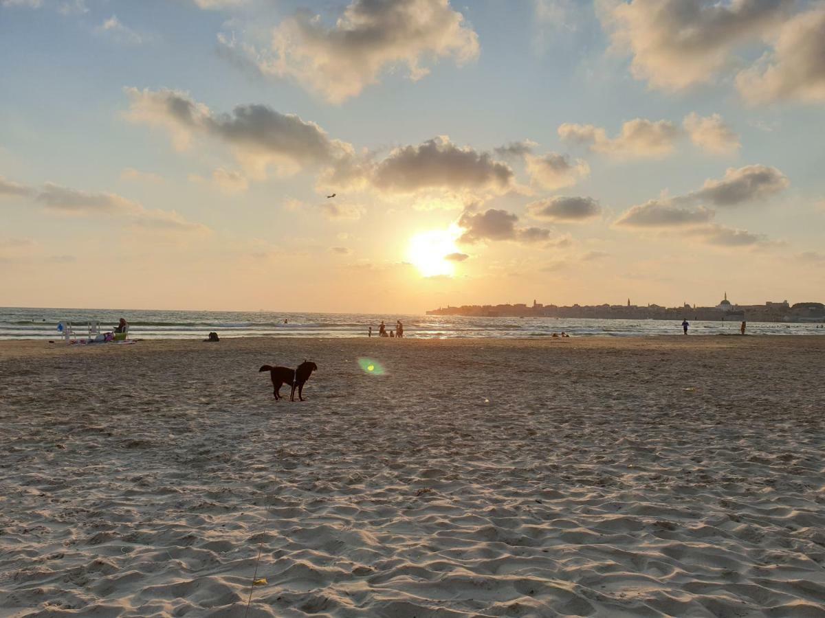 Beachfront Gallery Acre Esterno foto